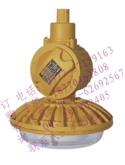 Sbd1102-yql40防爆灯,sbd1102,厂用防爆灯具,SBD1102-YQL40防爆低频无极灯,SBD1102-